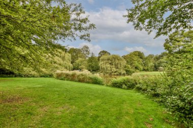 Ağaçlı, boş bir kaldırım sokağının manzaralı tuğlalı evleri.