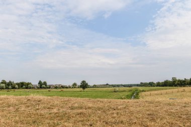 Binaların ve ağaçların panoramik görüntüsü