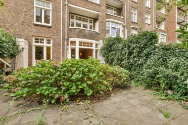 Küçük bahçeli basit küçük bir teras.