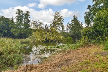 Ağaçlı, boş bir kaldırım sokağının manzaralı tuğlalı evleri.