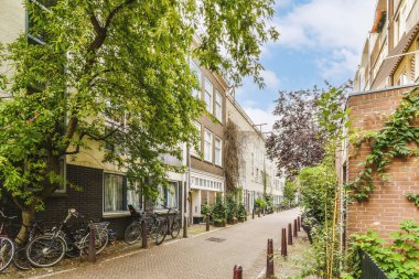 Ağaçlar ve fenerlerle dolu boş bir kaldırım sokağından tuğla evler manzarası