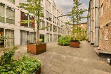 View of street near building with beauty of vegetation outside