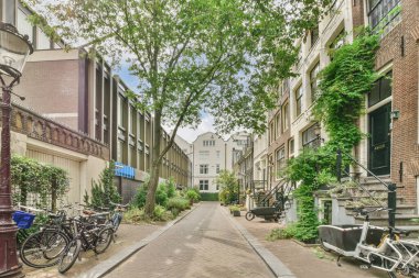 View of street near building with beauty of vegetation outside