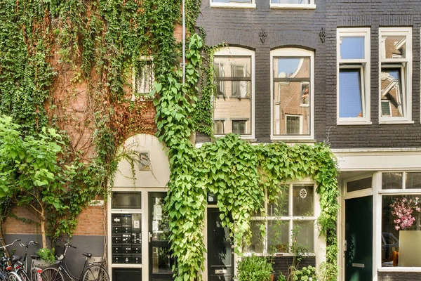 View Street Building Beauty Vegetation — Zdjęcie stockowe