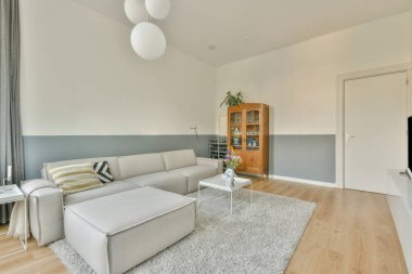 Televizyon ve dekorasyonlu kitaplıkların yanına kurulmuş rahat bir kanepe modern apartmandaki hafif oturma odasında.