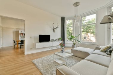 Televizyon ve dekorasyonlu kitaplıkların yanına kurulmuş rahat bir kanepe modern apartmandaki hafif oturma odasında.