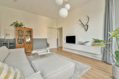 Televizyon ve dekorasyonlu kitaplıkların yanına kurulmuş rahat bir kanepe modern apartmandaki hafif oturma odasında.