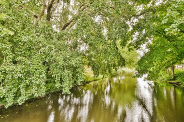 Bulutlu bir günde önlerinde ağaçlar ve çalılar olan nehir - görüntü id1209