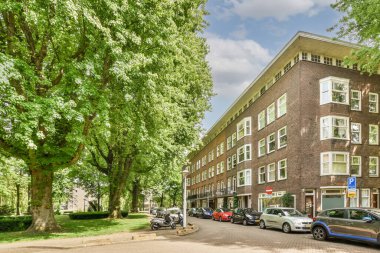 Arabaları sokağa park edilmiş bir apartman ve Amsterdam, Hollanda 'da yol kenarına dizilmiş ağaçlar.