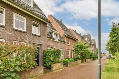 View of street near building with beauty of vegetation outside