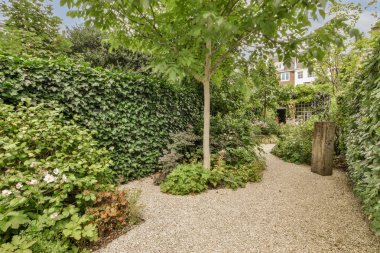 Ahşap çitlerin yanında küçük bahçesi olan basit küçük bir teras.