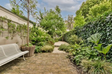 Ahşap çitlerin yanında küçük bahçesi olan basit küçük bir teras.