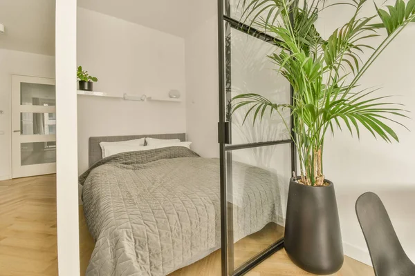 a bedroom with a bed and plant in the corner next to the bed is a white wall that has been painted on it
