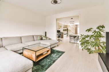 Oturma odası, kanepeler, sehpa, televizyon ve odanın ortasında da bitkiler.