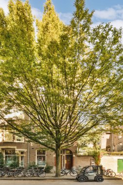 Her iki tarafında ağaçlar olan bir binanın önüne park edilmiş birkaç bisiklet ve ağacın üstündeki mavi gökyüzü bir apartman bloğu.