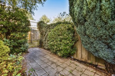 Ön tarafında ağaçlar ve çalılar olan bir avlu. Emlakçı Michael Stinson tarafından çekilmiş bir resim.