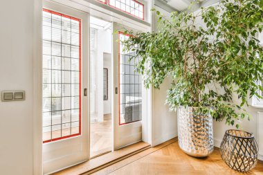 Cam ve yan panelli pencereleri kırmızı çerçeveli beyaz bir kapının yanındaki vazoda bir bitki.