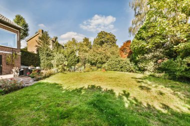 Ön planda çimenler, ağaçlar ve çalılar olan bir arka bahçe fotoğrafın sağ tarafında görülebilir.