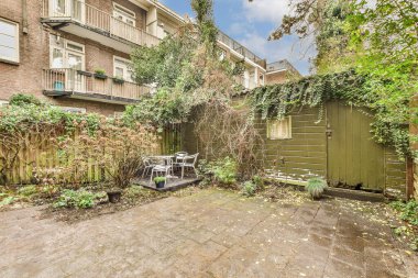 a back yard with some trees and plants on the ground in front of an apartment building that has been boarded up