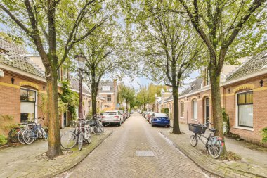 a street with bicycles parked in front of houses and trees on either side of the road, netherlands stock photo