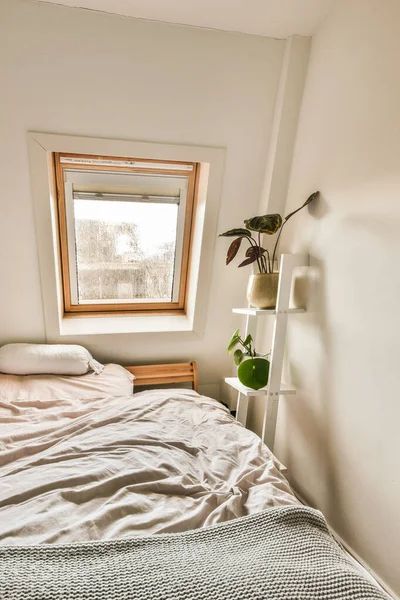 a bed in the corner of a room with a window above it and a plant on top of the bed