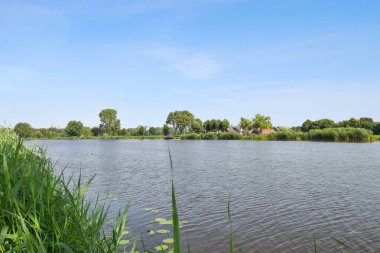Amsterdam, Netherlands - 10 April, 2021: some plants and flowers in front of a house with an old wall on the right side, surrounded by greene