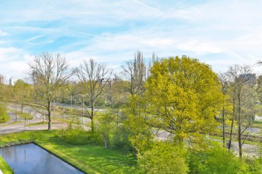 Amsterdam, Netherlands - 10 April, 2021: a path in the park with trees and grass on both sides, leading to a bench that has fallen leaves