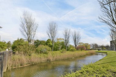 Amsterdam, Hollanda - 10 Nisan 2021: Her iki tarafında ağaçlar ve çalılar olan bir parkın ortasındaki bir nehir, hala biraz su akıyor