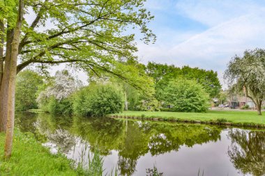 Amsterdam, Hollanda - 10 Nisan 2021: Ön planda ağaçlar ve çimenler olan bir gölet fotoğrafın sağ tarafındaki suya yansıtılır
