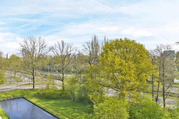 Amsterdam, Netherlands - 10 April, 2021: a path in the park with trees and grass on both sides, leading to a bench that has fallen leaves