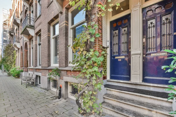 Evin Önünde Caddenin Kenarında Büyüyen Mavi Kapıları Yeşil Sarmaşıkları Olan — Stok fotoğraf