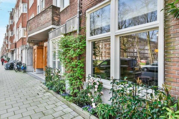 Amsterdam Olanda Aprilie 2021 Clădire Din Cărămidă Plante Creștere Partea — Fotografie, imagine de stoc