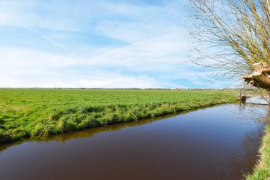 Çimenli bir alanın ortasında, her iki tarafında ağaçlar ve çimenler olan parlak mavi bir gökyüzünün altında küçük bir nehir.