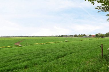 Amsterdam, Hollanda - 10 Nisan 2021: Uzaktaki evleri ve diğer taraftaki ağaçları olan yeşil bir alan, gökyüzüne bakan bir açıdan alındı