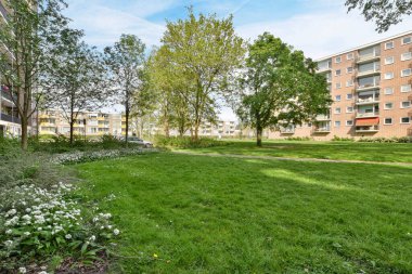 Parlak, güneşli bir yaz gününde ön planda yeşil çimenler ve beyaz çiçeklerle dolu bir apartman kompleksi.