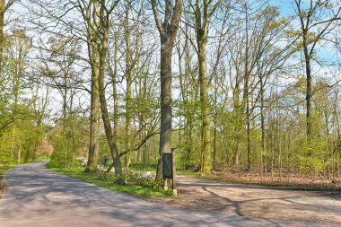 Amsterdam, Netherlands - 10 April, 2021: a path in the park with trees and grass on both sides, leading to a bench that has fallen leaves