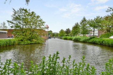 Önünde ağaçlar ve çalılar olan bir nehir, arka taraftaki bir tekneden alındı.