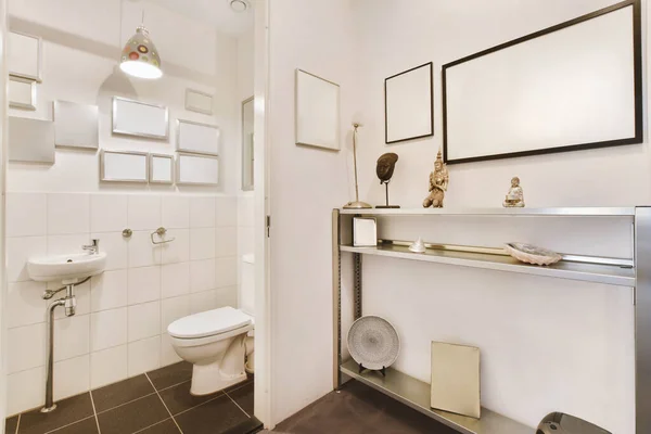 Banheiro Com Banheiro Espelho Prateleira Parede Lado Dele Gato Sentado — Fotografia de Stock