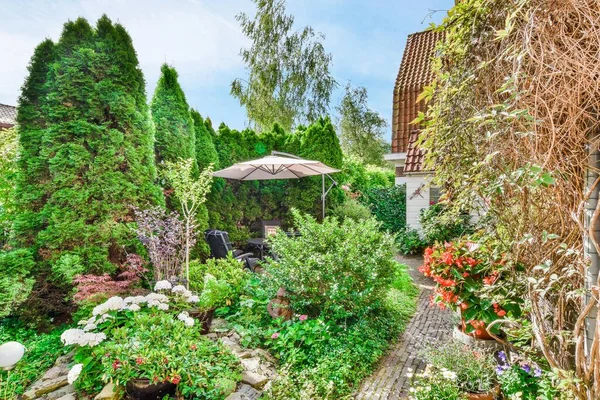 Ein Garten Freien Mit Vielen Pflanzen Und Blumen Vordergrund Bild — Stockfoto