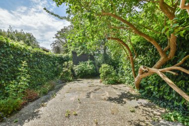 Güneşli bir günde, ağaçlar, çalılar ve çakıllı patikalarla dolu açık bir alan.