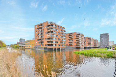 Amsterdam, Hollanda - 10 Nisan 2021: Önünde kamış ve tepesinde kuşlar uçuşan bir su kütlesi üzerinde bir apartman dairesi