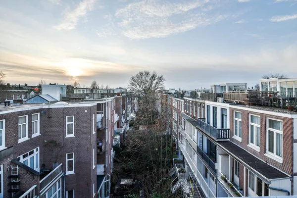 2021年4月10日 荷兰阿姆斯特丹 一些建筑物和树木在黄昏的阳光下 在我卧室的窗户上 在这个公寓建筑群里 在一个过度张扬的日子里被带走了 — 图库照片