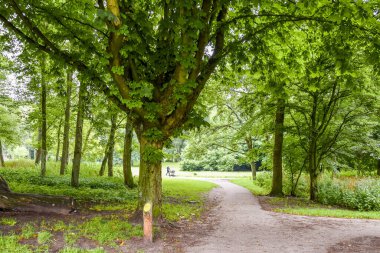 Amsterdam, Netherlands - 10 April, 2021: a path in the park with trees and grass on both sides, leading to a bench that has fallen leaves