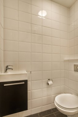 Duvarlarında beyaz fayanslar olan bir banyo ve lavabonun önündeki tuvaletin etrafında siyah fayanslar.