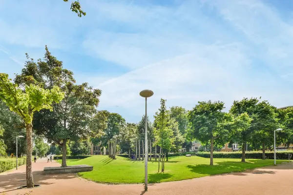 Amsterdam, Hollanda - 10 Nisan 2021: Ağaç ve yeşil çimlerin bulunduğu boş bir park - 1230897