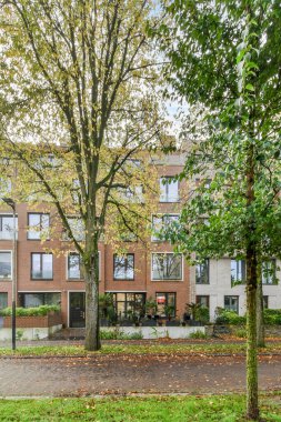 Ağaçları ve yaprakları olan bir apartman dairesi. Görüntü benim bakış açımdan alındı, ama ben...