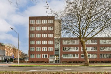 Bir apartmanın önündeki ağaçta yerde yapraklar yok ve insanlar aşağıdaki sokakta yürüyor.