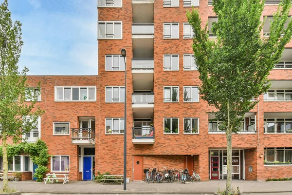 네덜란드 암스테르담 2021 자전거 가설치 아파트 앞에서 자라고 의나무 — 스톡 사진