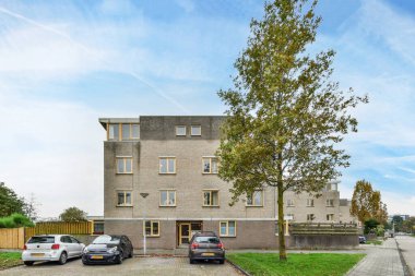 Amsterdam, Hollanda - 10 Nisan 2021: Bir otoparkın ortasında caddenin diğer tarafında iki araba park etmiş bir ağaç,