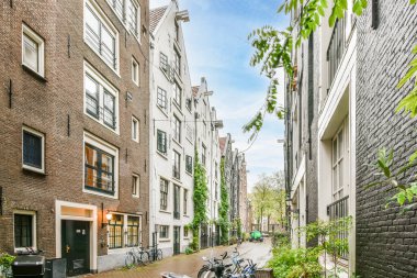 Yüksek tuğlalı binalar ve yeşil ağaçlarla dolu dar bir caddenin kenarına parketmiş motorlar.